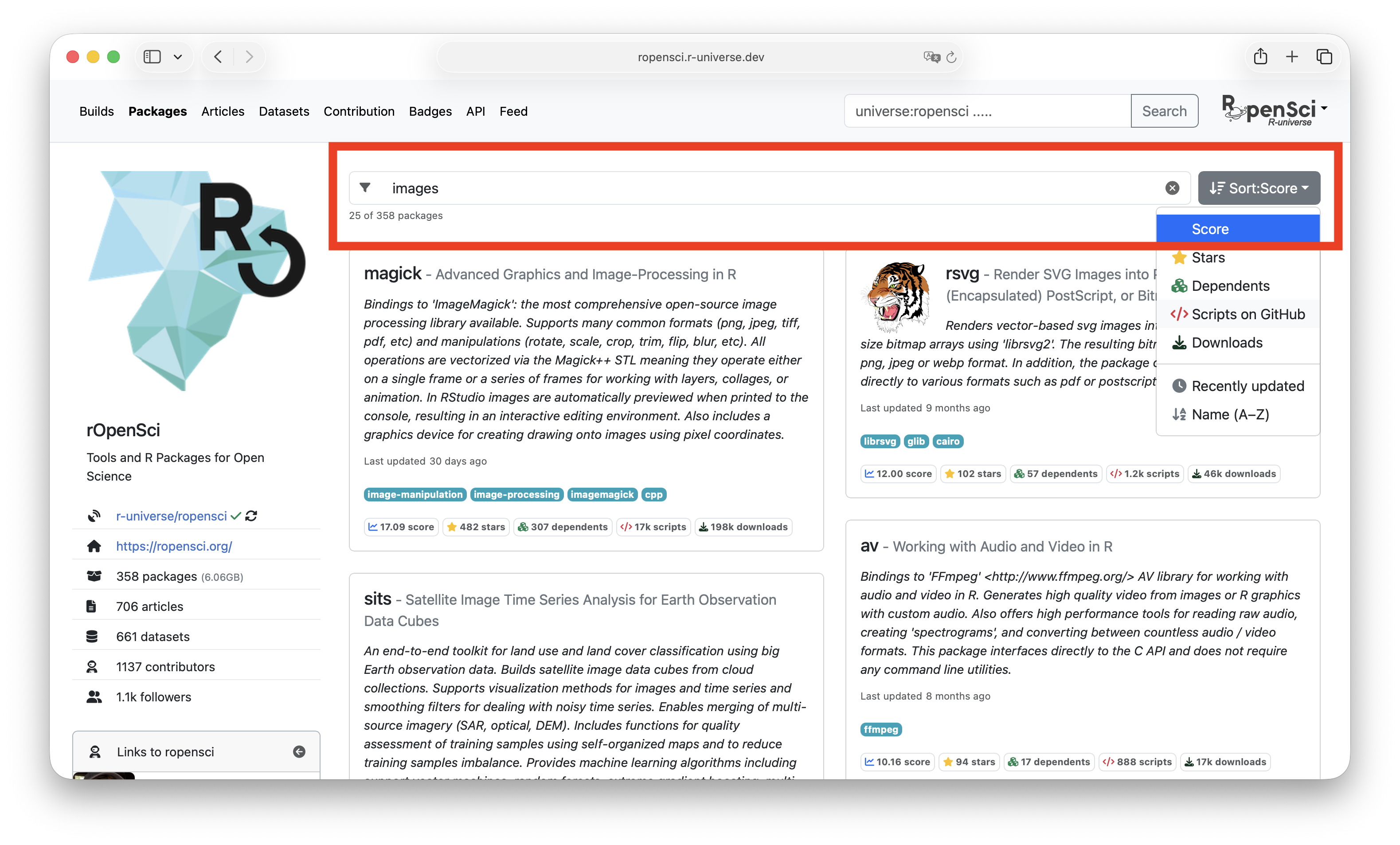 A screenshot of the new search bar