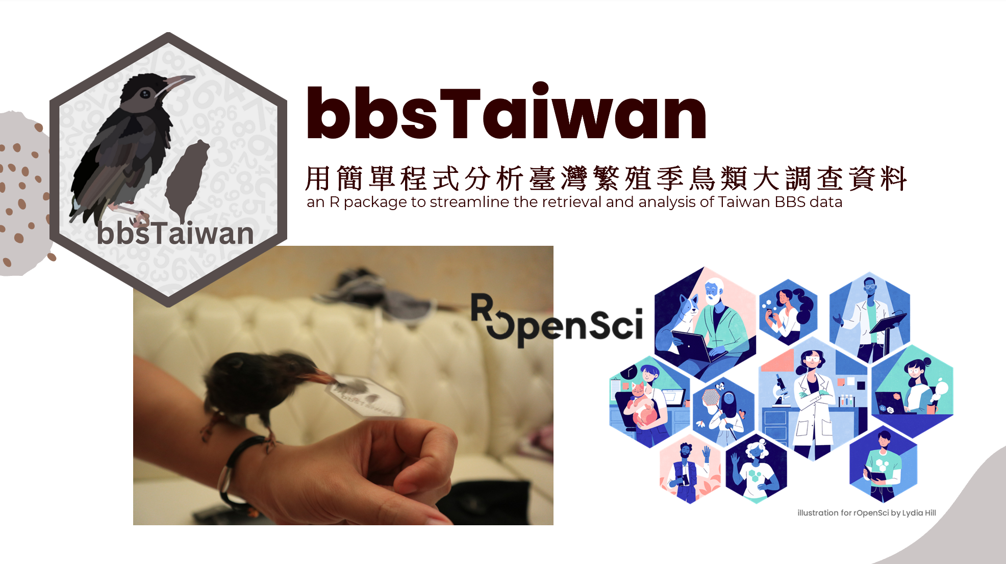 Promotional banner for bbsTaiwan, the R package that I developed for the Champions Program for retrieving and analyzing Taiwan Breeding Bird Survey data. Features the hexagonal bbsTaiwan logo with an illustrated bird beside a silhouette of Taiwan on a background of numbers, alongside a photo of a small bird perched on a person wrist with a tracking tag, the rOpenSci logo, and a grid of illustrated icons depicting scientists and researchers of various specialties.