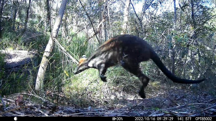 lXYtUbMxk8T5QM9jNPjUp6sZfraGvUtgl_vcaYsgvGBFgQK5EQBflHLs37cB_GXFo_|690x388